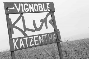 Vignoble Klur Katzenthal