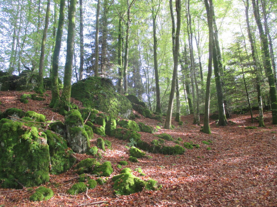 Chemins de traverse