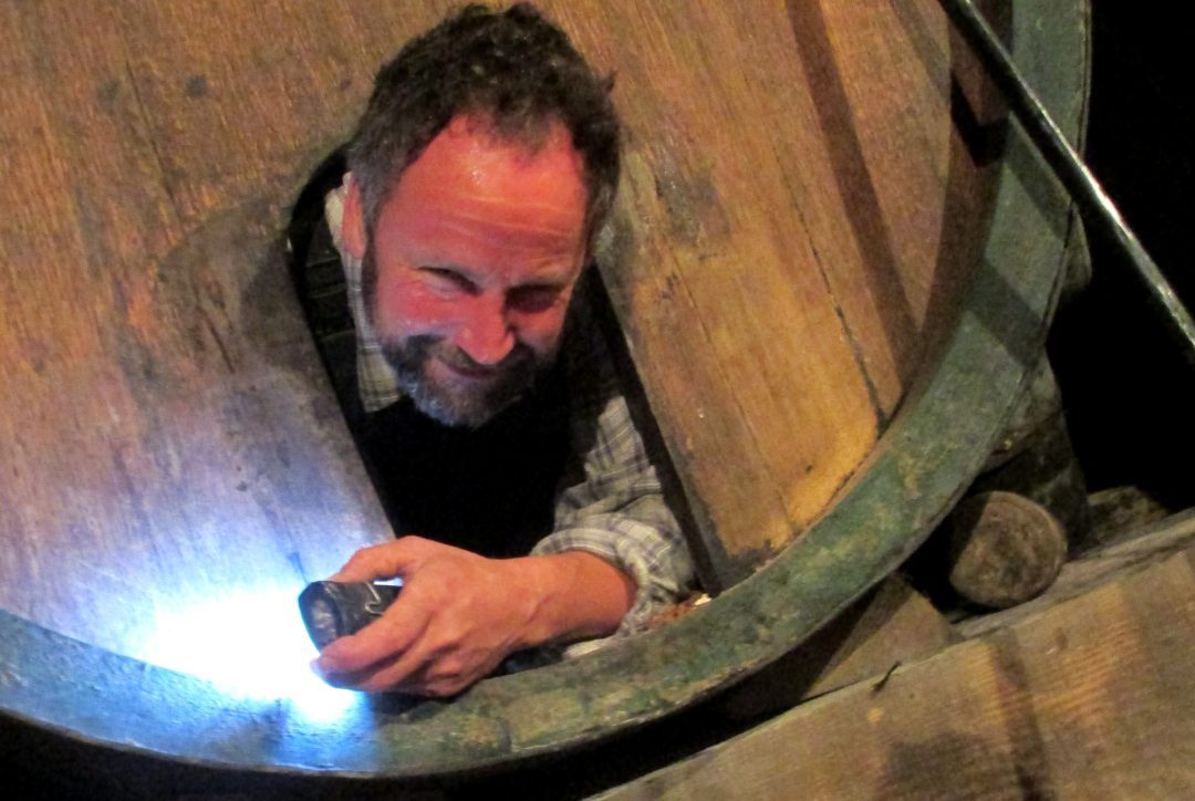 Shared wine cellar ?