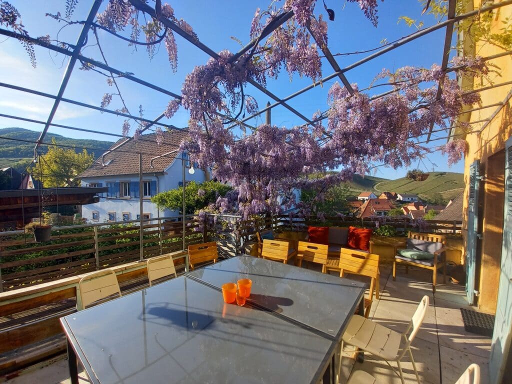 Résidence Vigneronne Klur à Katzenthal en Alsace