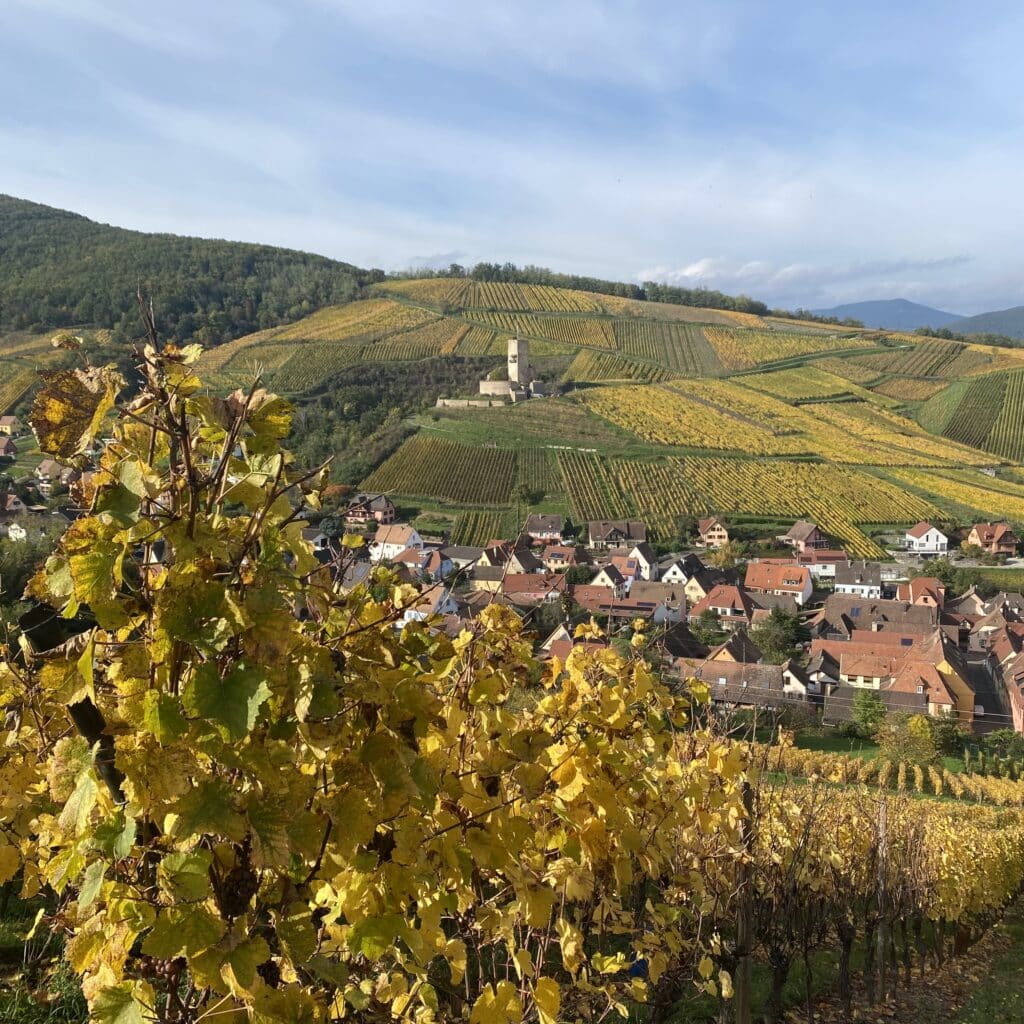 Grand Cru Wineck Schlossberg à Katzenthal depuis Résidence Vigneronne Klur