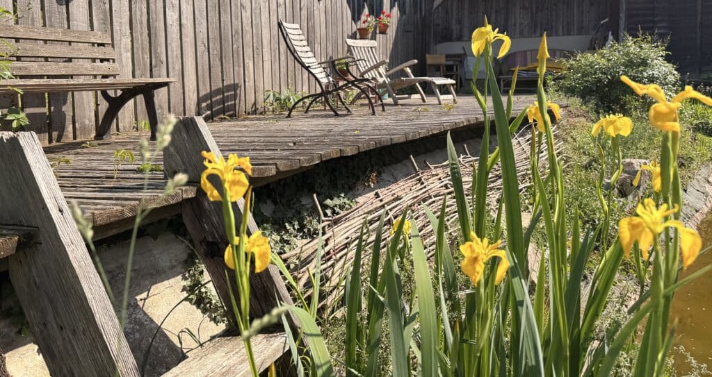 à Katzenthal en Alsace, à la Résidence Vigneronne Klur