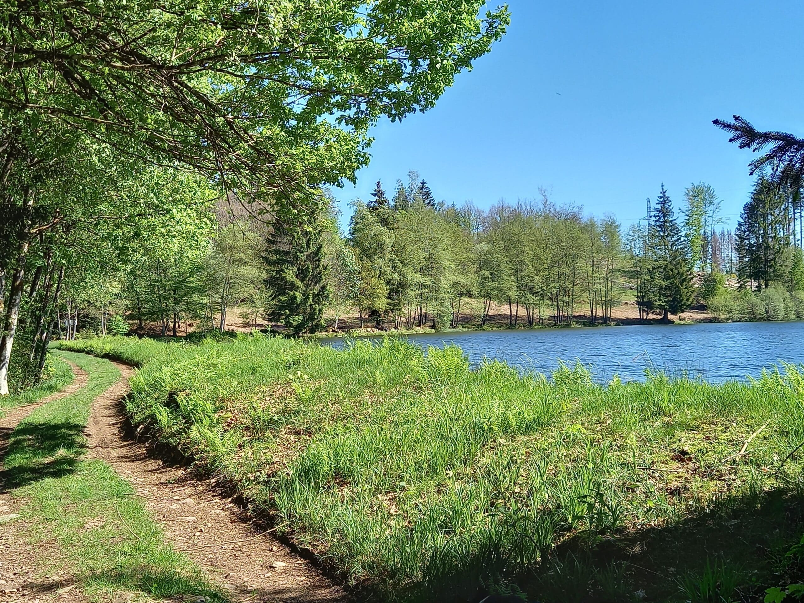 Pêche à la ligne au Pays des 1000 Etangs