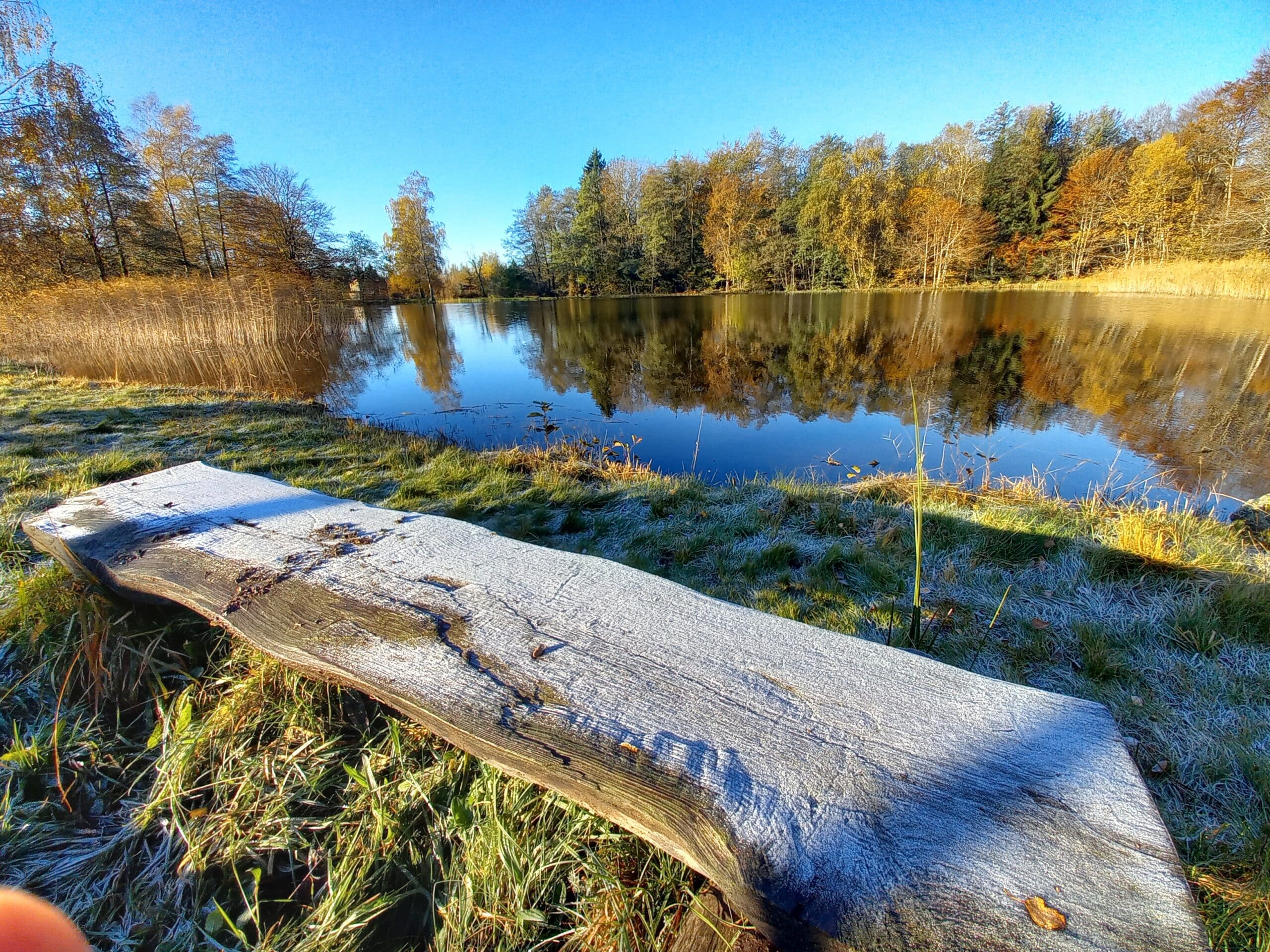 Automne au Plateau des Mille Etangs près du Ballon d'Alsace