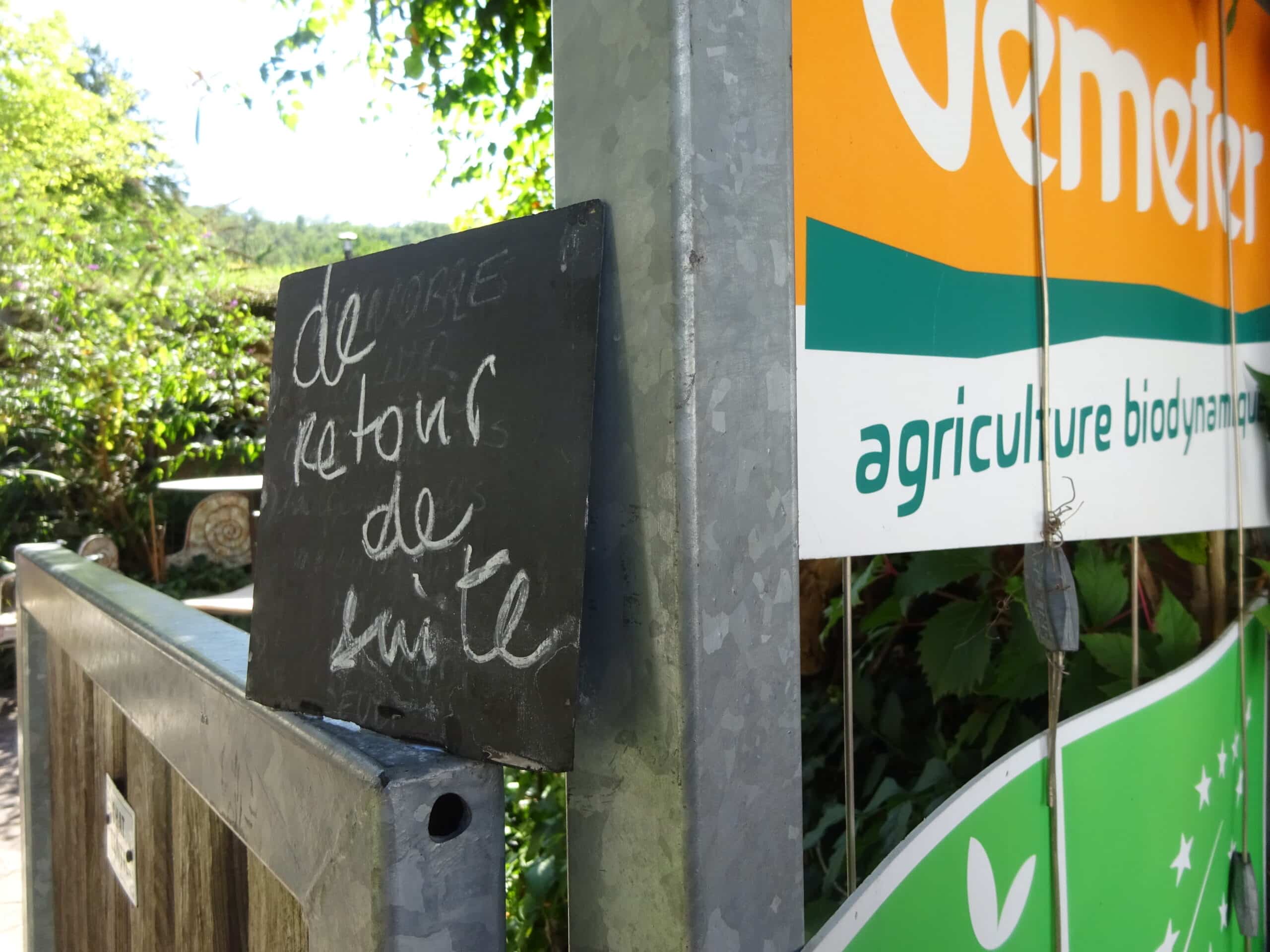 Vignoble en biodynamie à Katzenthal Résidence Vigneronne Klur