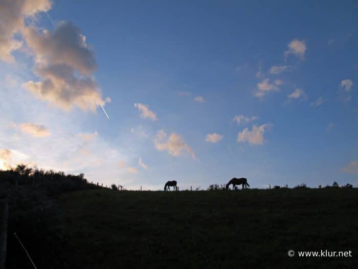 Bientot une nuit aux 100 000 étoiles