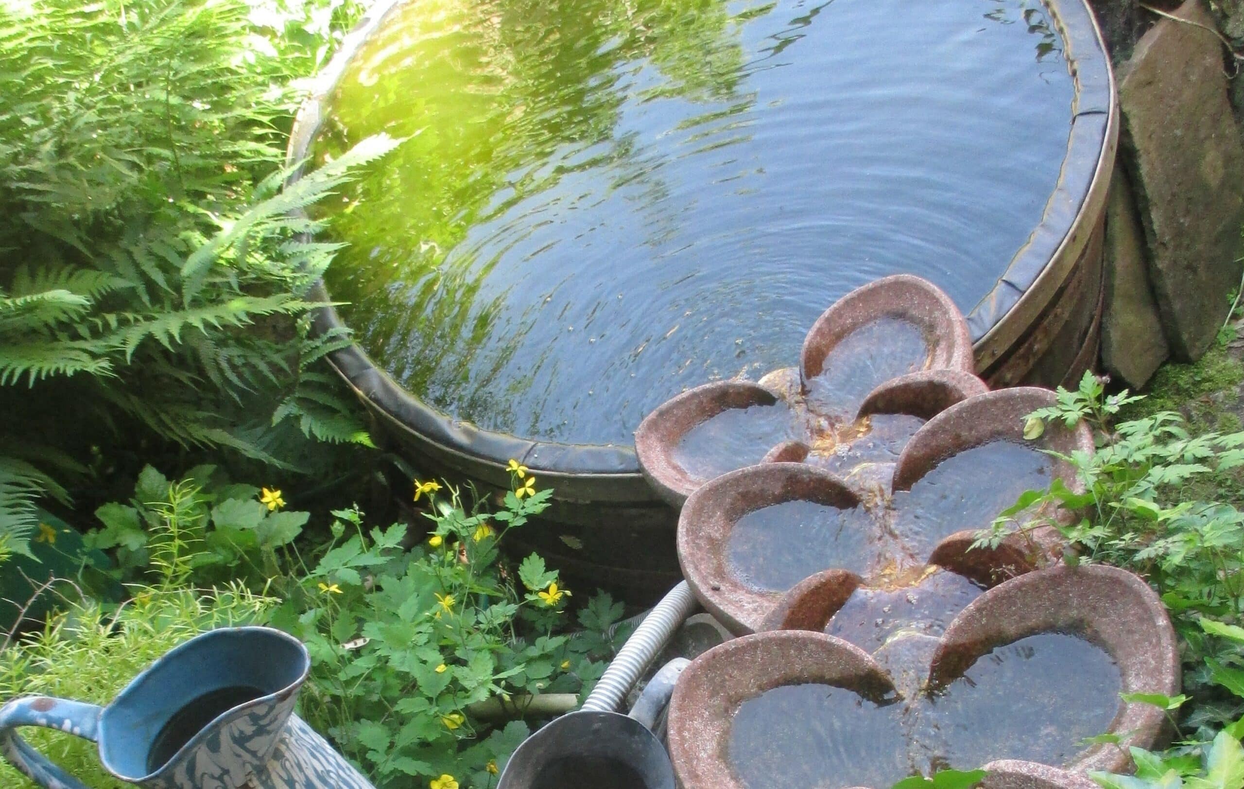 Flow forme à Katzenthal Résidence Vigneronne Klur