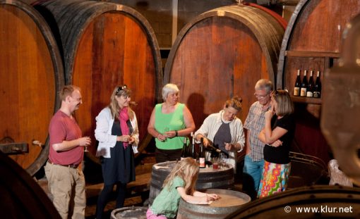 All about natural wines